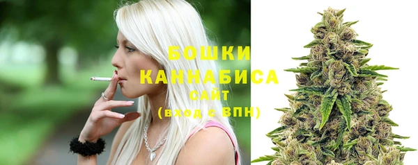 стафф Бородино