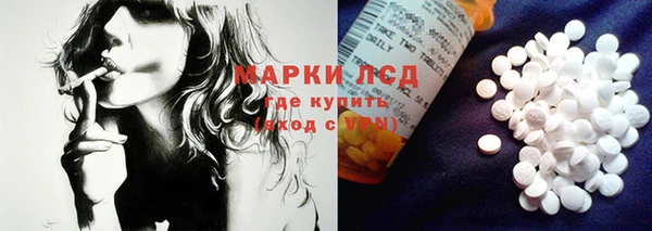 стафф Бородино