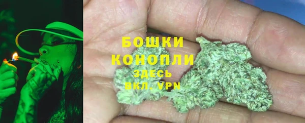 стафф Бородино