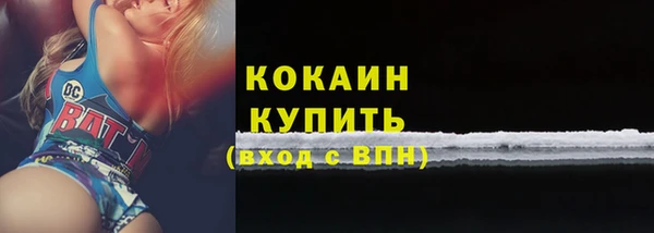 стафф Бородино