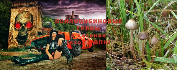 стафф Бородино