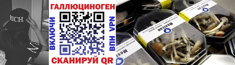 купить закладку  Вичуга  Галлюциногенные грибы Psilocybe 