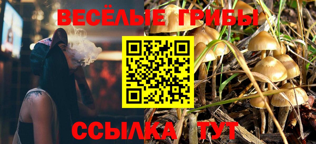 Вичуга  Псилоцибиновые грибы Psilocybine cubensis  Вход с VPN 