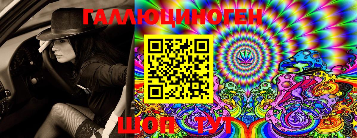 Галлюциногенные грибы Psilocybe Вичуга